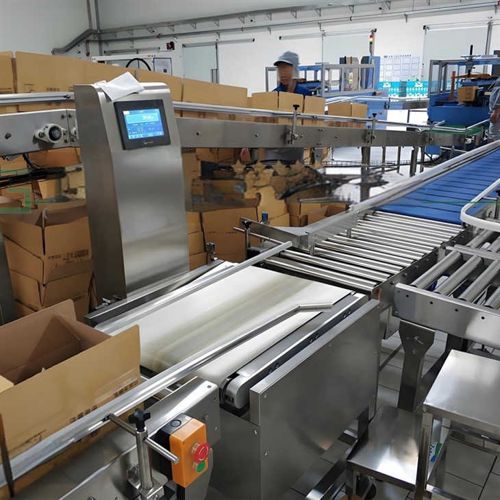 Weight Sorter Machine